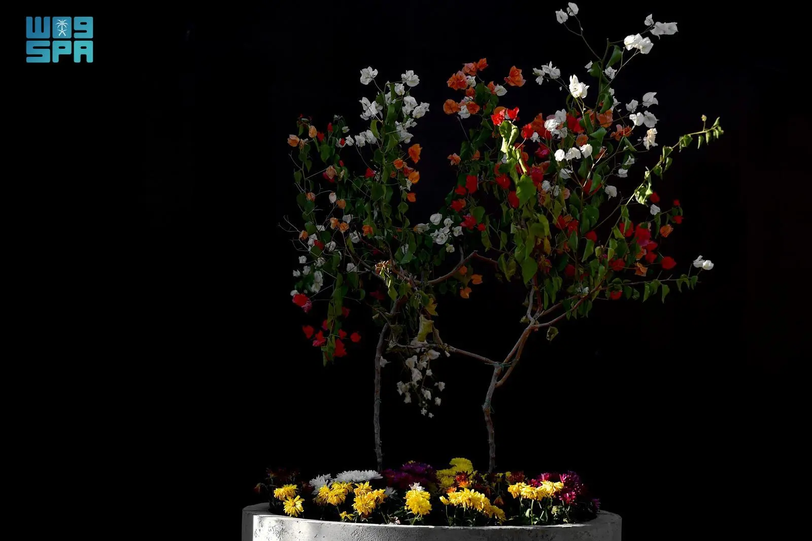 RDIA Showcases Practical Solutions for Water Resource Conservation at Sustainability Innovation Week